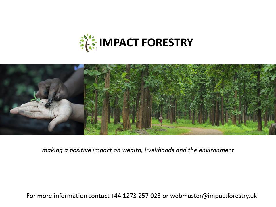 Impact Forestry